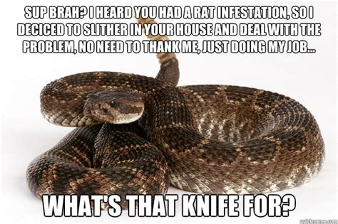 funny stories and memes about snake game